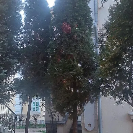 Mrvica * Vrnjacka Banja